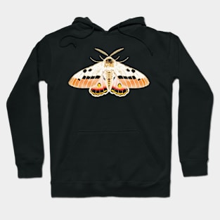 butterfly Hoodie